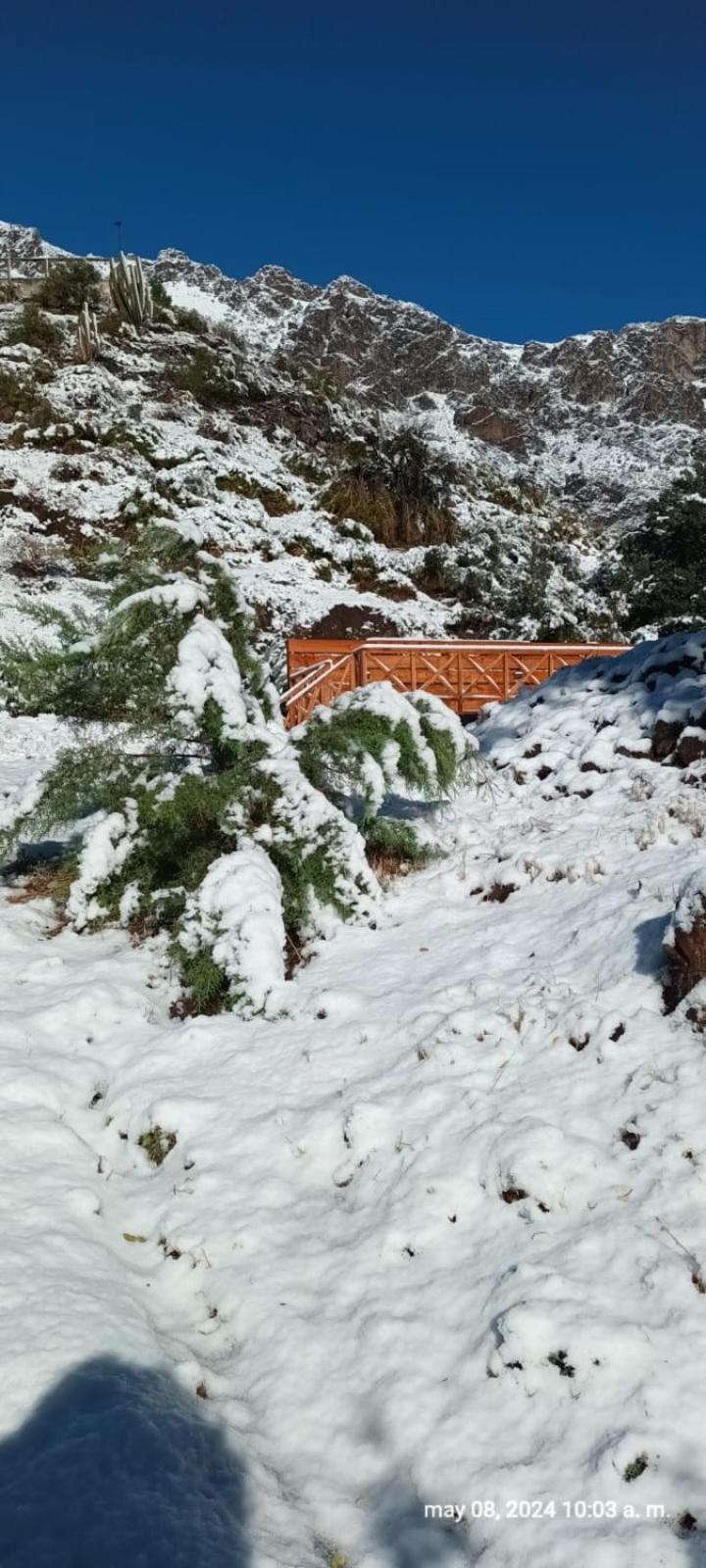 Hostal Los Penones ซานอัลฟอนโซ ภายนอก รูปภาพ